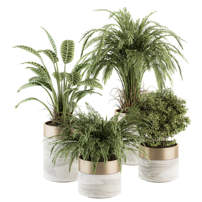 indoor Plant Set 245 - Plant Set in pot — Ver 1