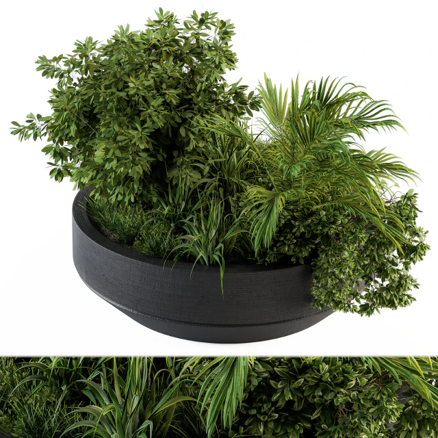 Outdoor Plants tree in Concrete Pot - Set 144 — Скачать