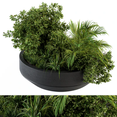 Outdoor Plants tree in Concrete Pot - Set 144 — Вид 2