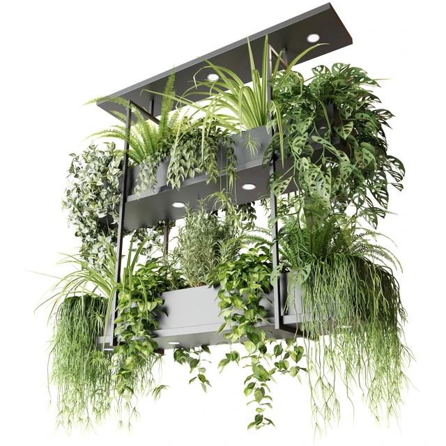 Hanging plants, indoor plant, hanging plants OSLO — Descargar