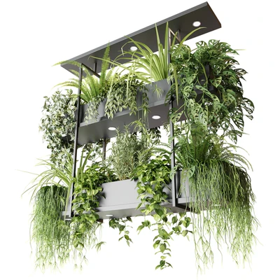 Hanging plants, indoor plant, hanging plants OSLO — Ver 2