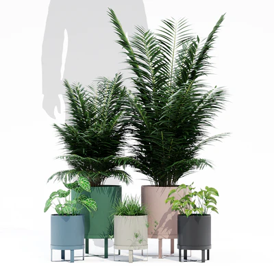 Ba pot — Ver 1