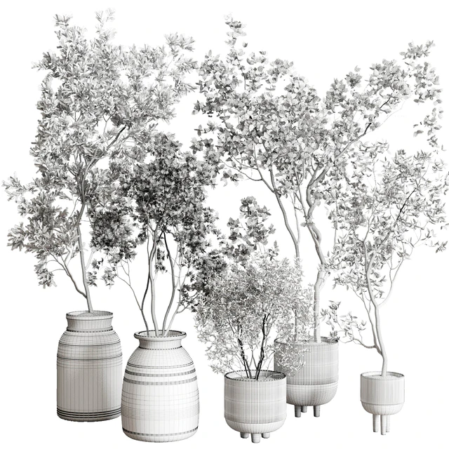 collection indoor plant 227 — Скачать