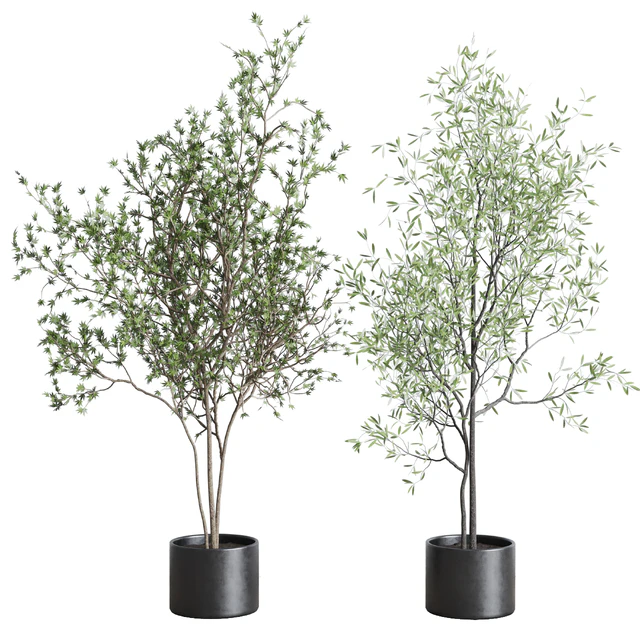 collection indoor plant 326 concrete vase — Скачать