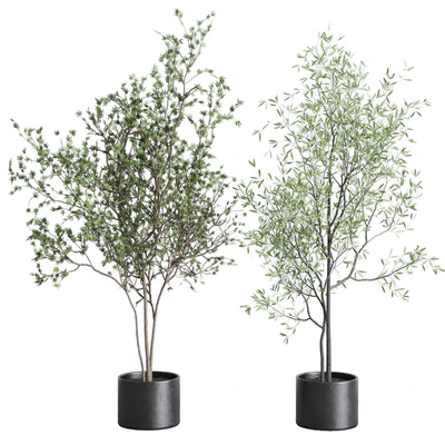 collection indoor plant 326 concrete vase — Вид 2