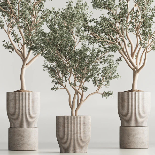 Indoor Plant Set 58 — Descargar