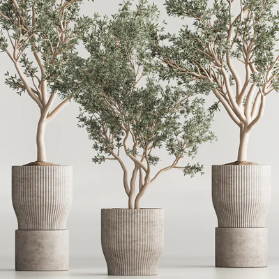 Indoor Plant Set 58 — Ver 2