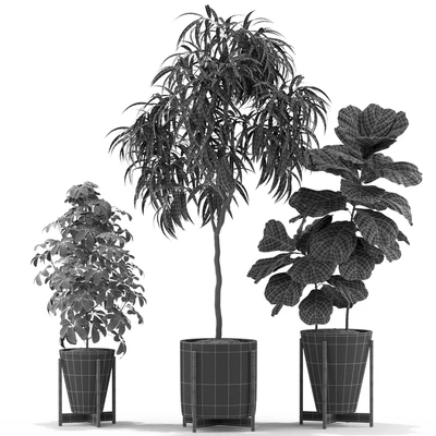 Plants collection 343 — Ver 3