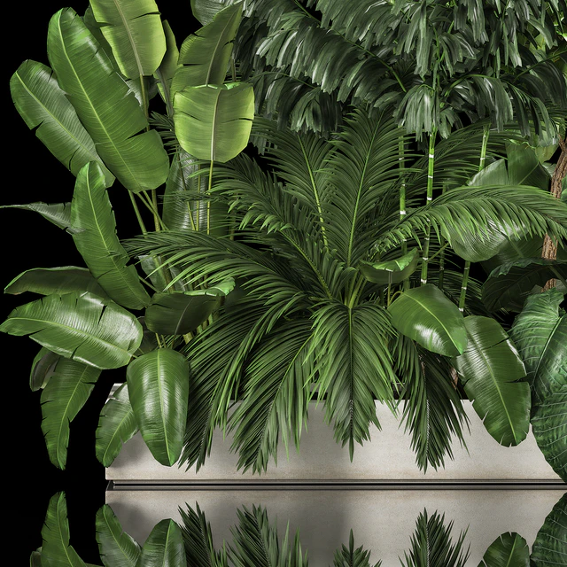 A collection of plants for a home garden with thickets and bushes, palm, strelitzia, flowerbed, flowerpot, ficus lirata. 1114. — Descargar