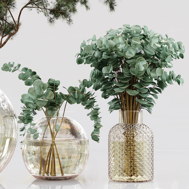 Collaction Indoor Plants 01 — Скачать