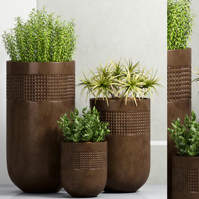PLANT-38 — Ver 1