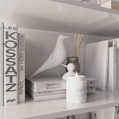 Shelves with decor — Ver 2