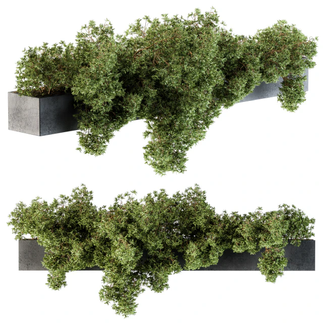 Outdoor Plant Set 103 - Hanging Plants — Скачать
