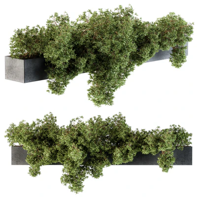 Outdoor Plant Set 103 - Hanging Plants — Вид 1