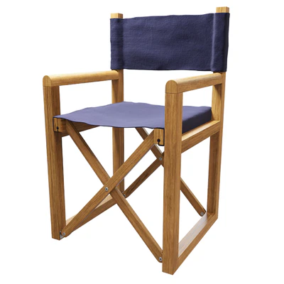 Directors Chair by Serena and Lily — Ver 1