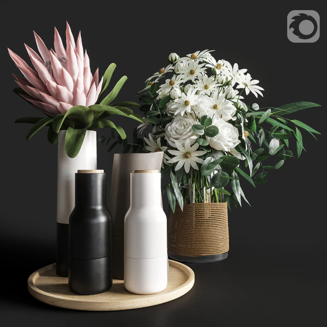 Flower Set 003 Protea and Roses — Descargar