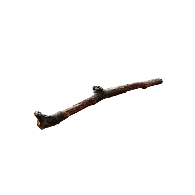 tree debris 015 — Descargar