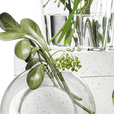 Decor set 047 with green plants AALTO VASE — Вид 2