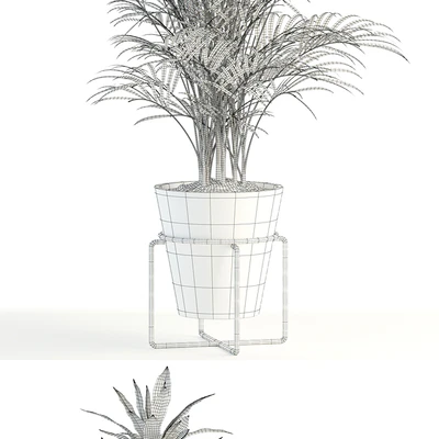 Plants collection 89 — Вид 2