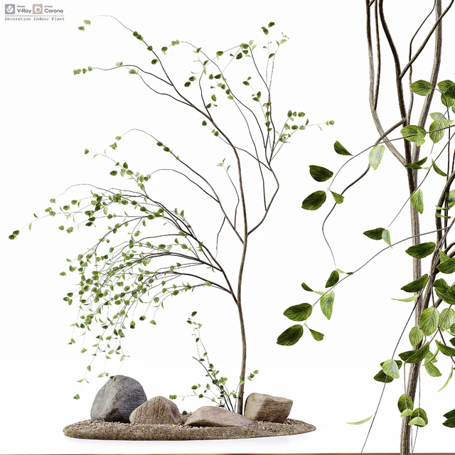Decoration Indoor Plant — Скачать
