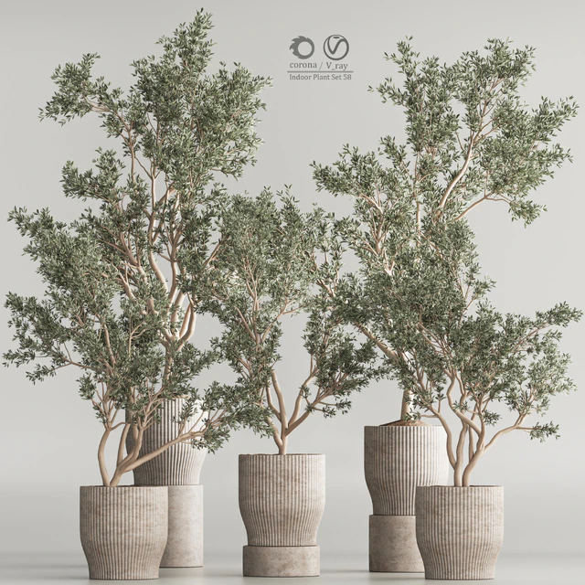 Indoor Plant Set 58 — Descargar