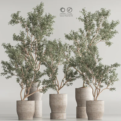 Indoor Plant Set 58 — Ver 1