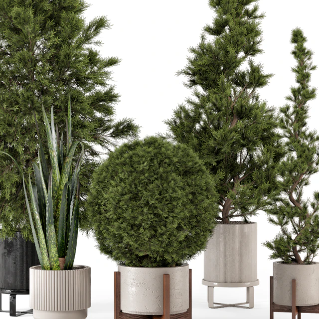Indoor Plants in Ferm Living Bau Pot Large - Set 364 — Скачать