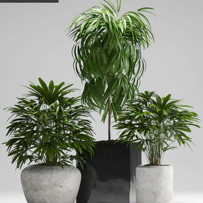 PLANTS 164 — Ver 2