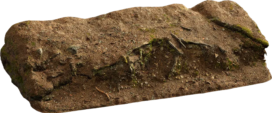 nordic forest ledge dirt root medium 001 — Скачать