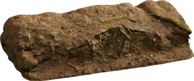 nordic forest ledge dirt root medium 001 — Скачать