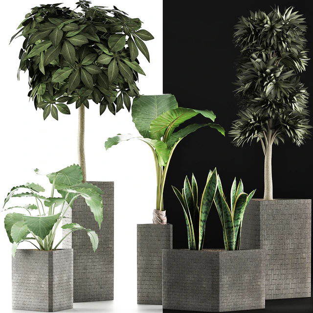 Plants Collection 39 — Descargar