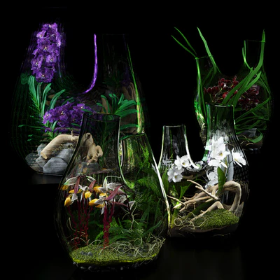 Terrarium vases with Orchids — Ver 1