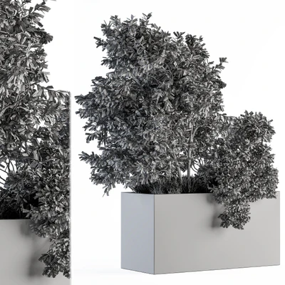 Outdoor Plants Olive - Set 82 — Ver 2
