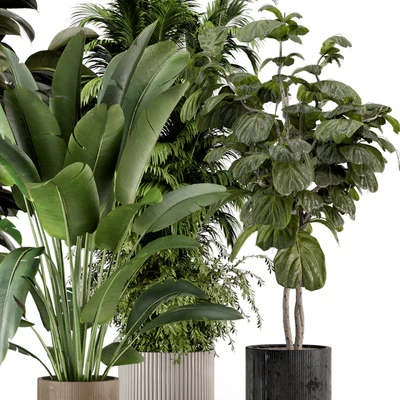 Indoor Plants in Ferm Living Bau Pot Large - Set 734 — Ver 2