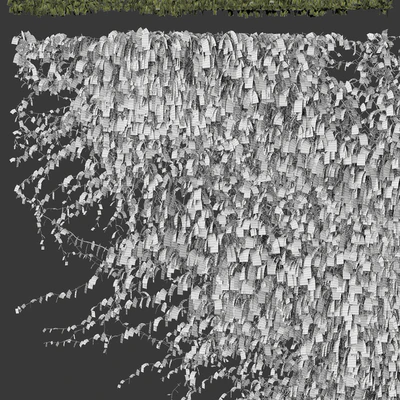 Leaves for walls v2 — Ver 2