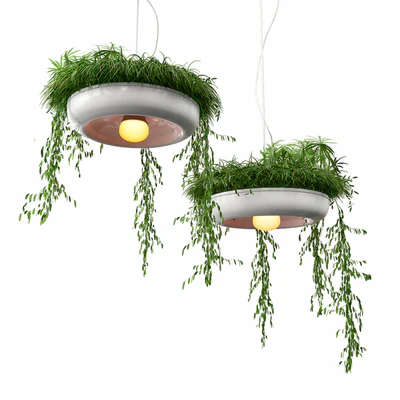 Chandelier with plants — Download