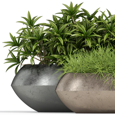 Plants collection 279 Fleurami ROYAL — Ver 2