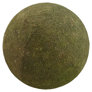 mossy ground 017 — Descargar