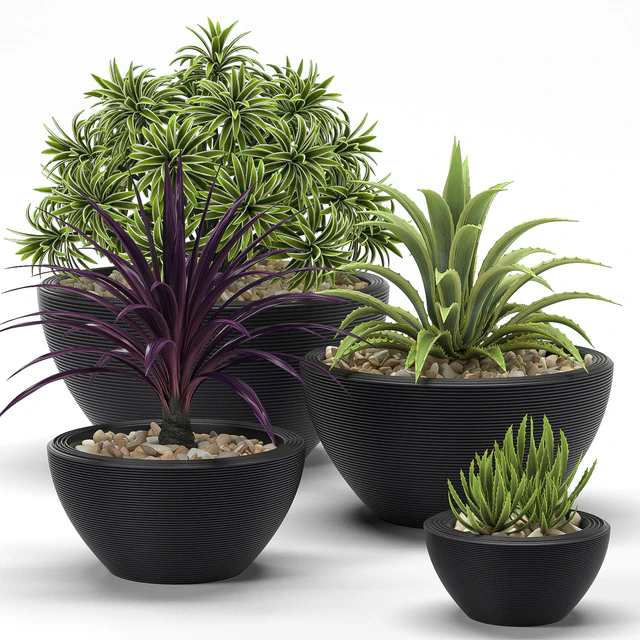 PLANTS 17 — Скачать