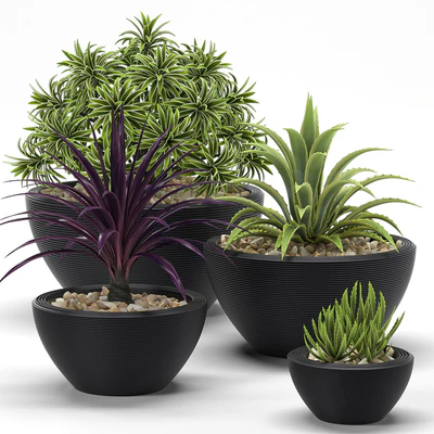 PLANTS 17 — Скачать
