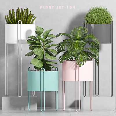 PLANT SET -104 — Ver 1
