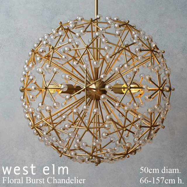 West elm - Floral Burst Chandelier — Скачать