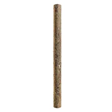 spruce branch bark 004 — Descargar