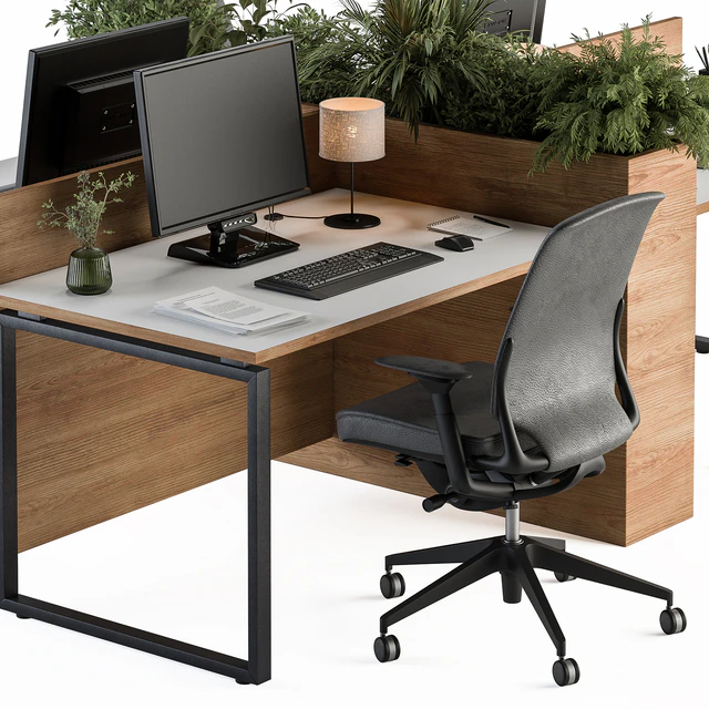 Employee Set Wood and Black Plant Box Divider - Office Furniture 336 — Descargar