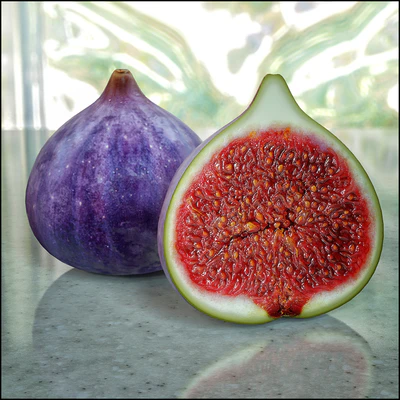 figs — Вид 2