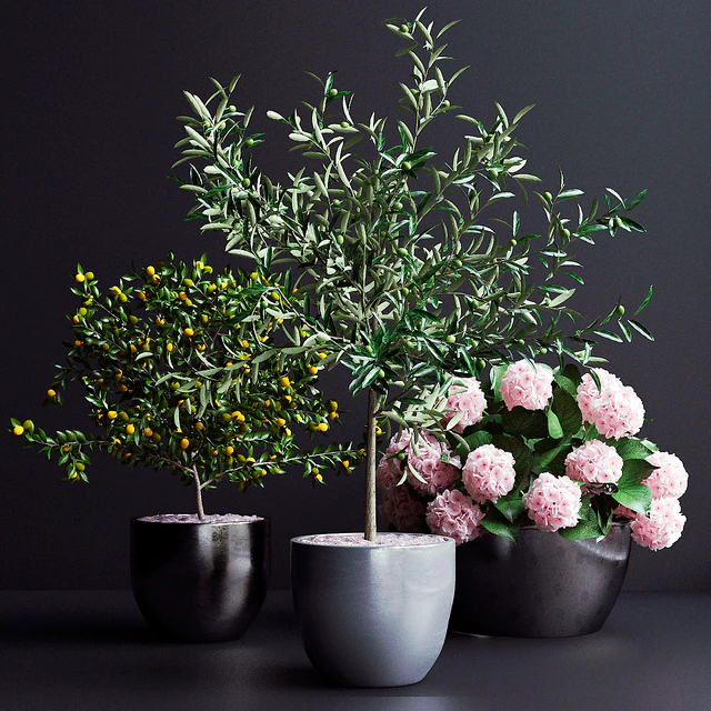 Decor, trees — Descargar