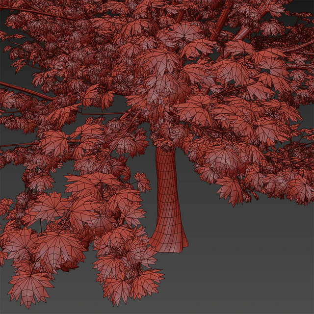 Maple tree — Скачать