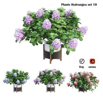 Plants Hydrangea set 10 — Вид 2