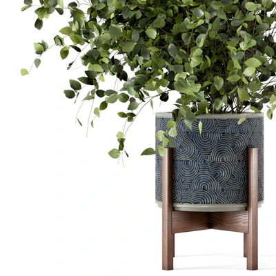 Indoor Plants in rusty Concrete Pot - Set 244 — Ver 2