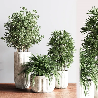 Indoor Set Plsnt14 — Ver 2